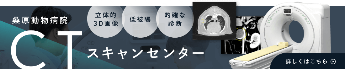 桑原動物病院CTスキャンセンター