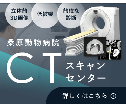 桑原動物病院CTスキャンセンター