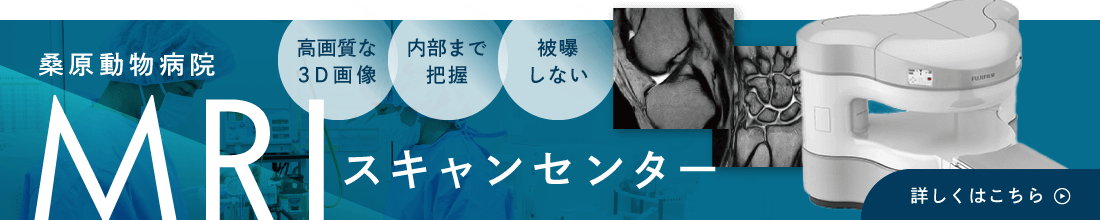 桑原動物病院MRIスキャンセンター