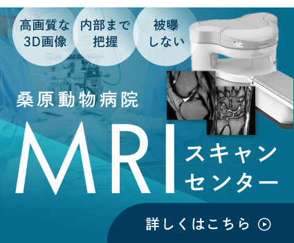 桑原動物病院MRIスキャンセンター